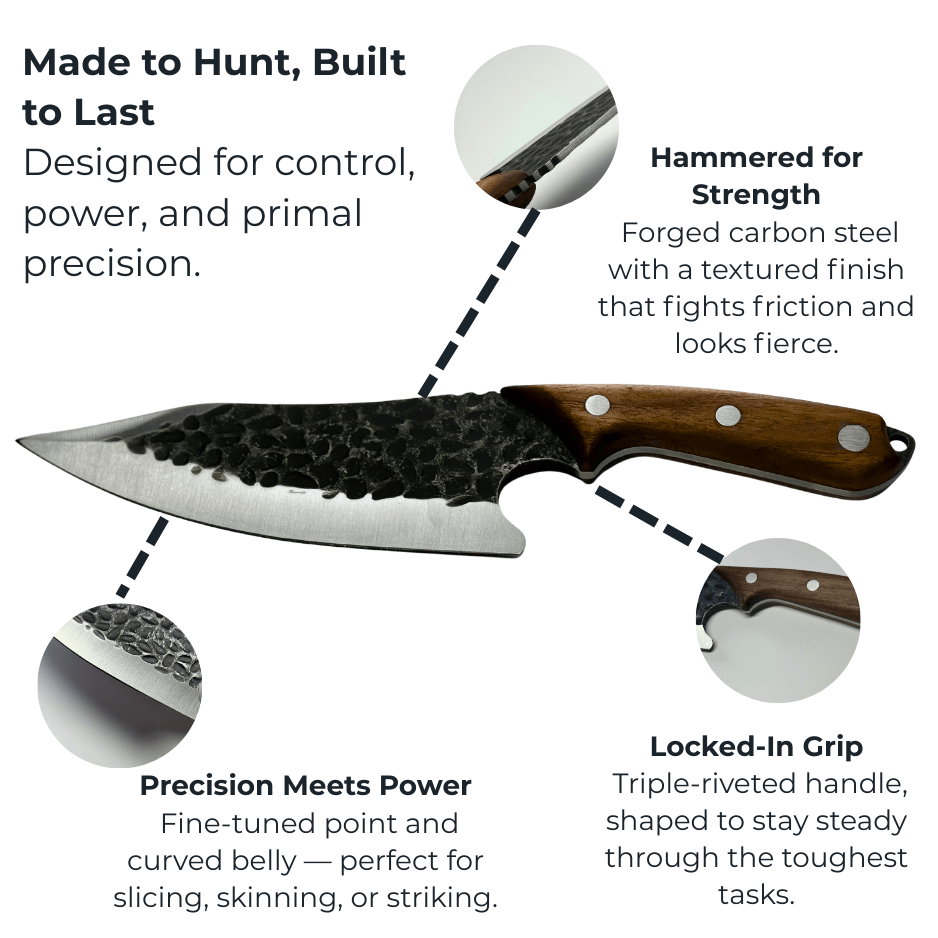 Vachelli Zanari forged carbon steel chef knife with sharp curved blade, ergonomic handle, and rust resistance.